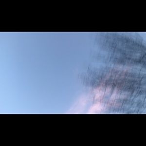 Meet your Posher, Lily